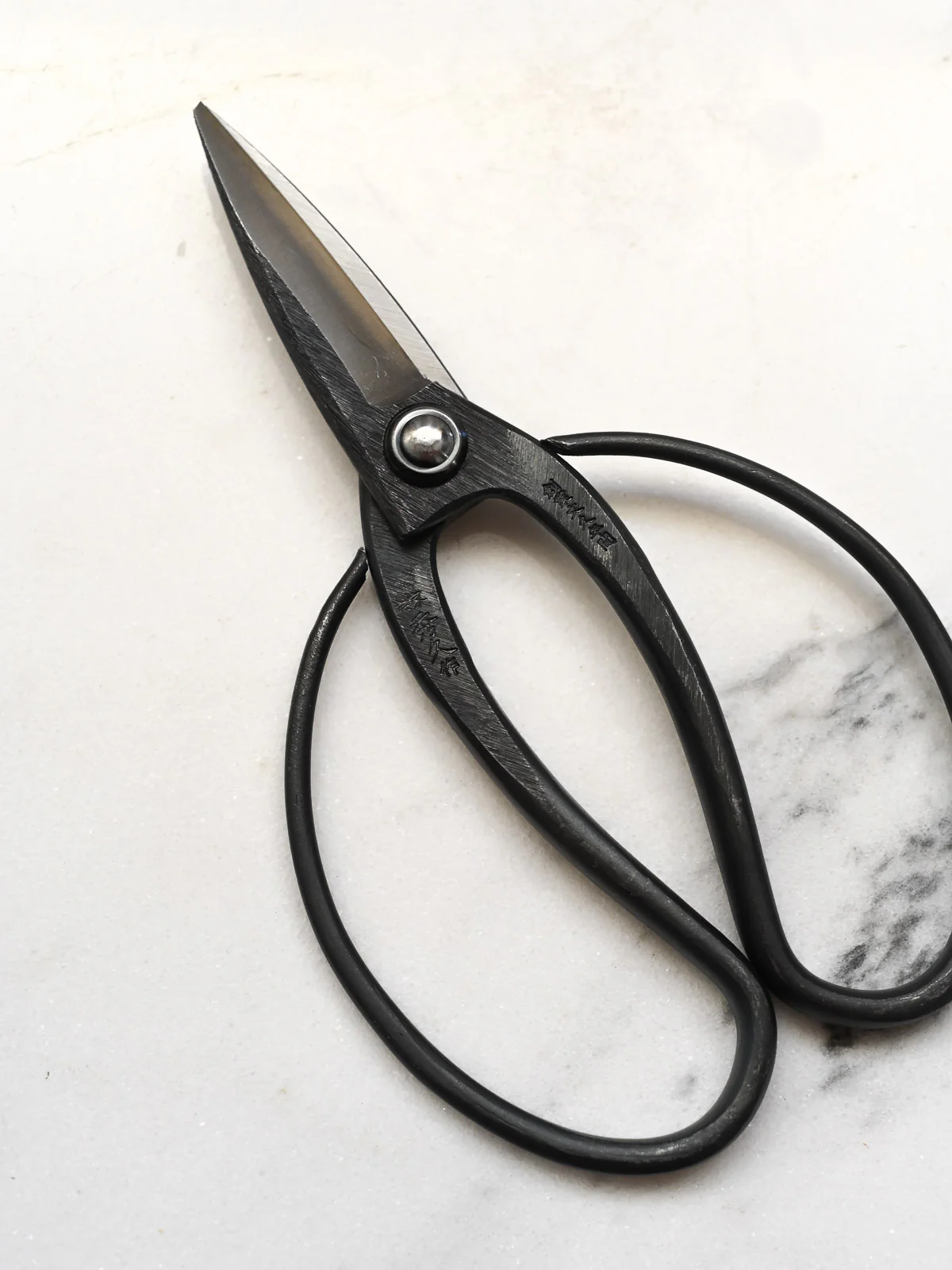 Okubo Kitchen & Garden Scissors - Image 3